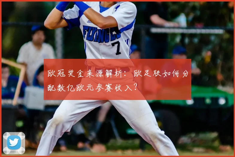 欧冠奖金来源解析：欧足联如何分配数亿欧元参赛收入？