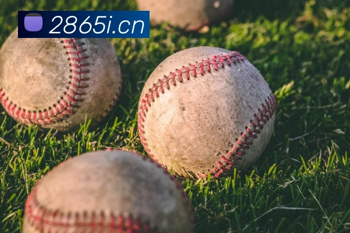 米兰体育在线登陆入口平台生态图