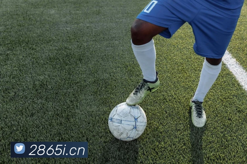 米兰体育在线登陆入口APP 封面图